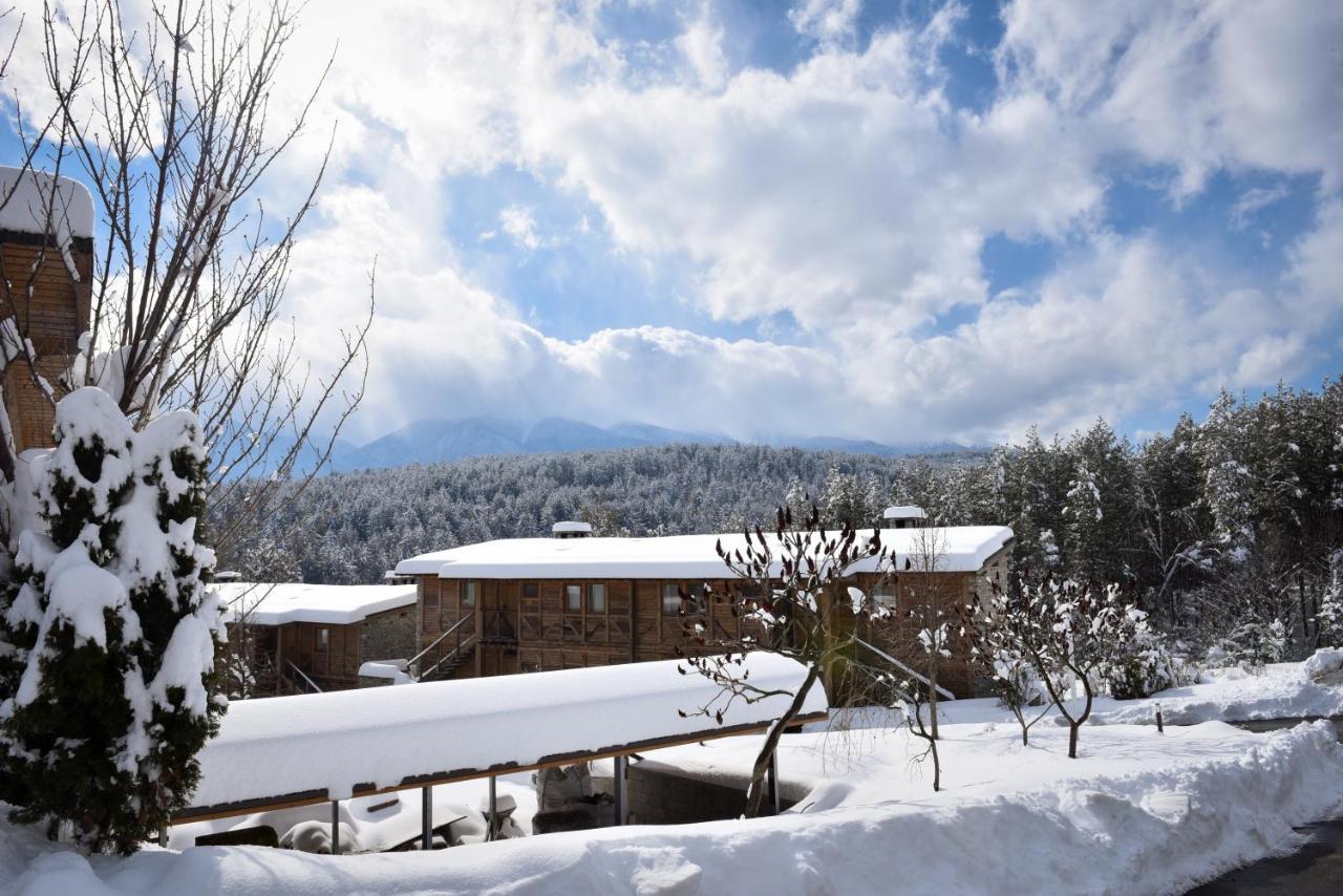 Katarino Spa Hotel บันสโก ภายนอก รูปภาพ